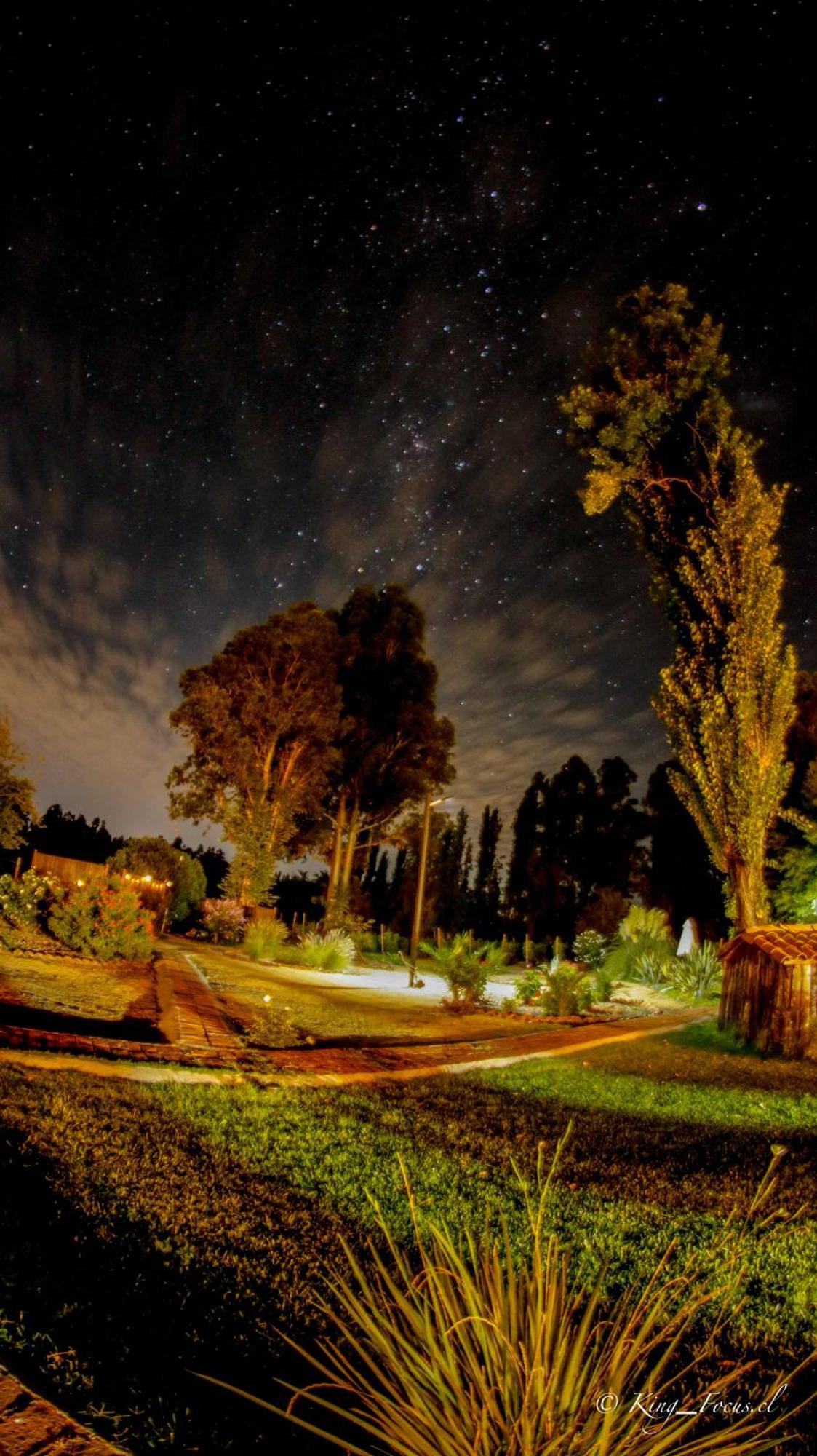 Hotel Boutique Raices De Colchagua Santa Cruz Exterior foto
